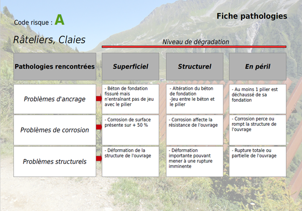 fiche pathologie 